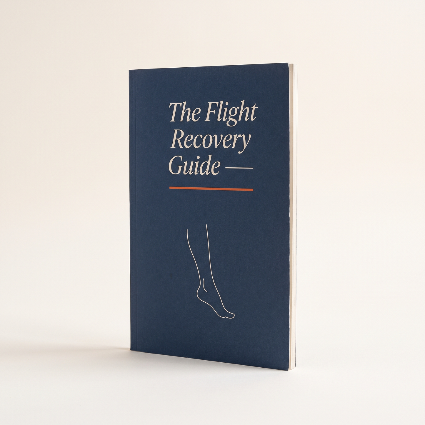 The Flight Recovery Guide