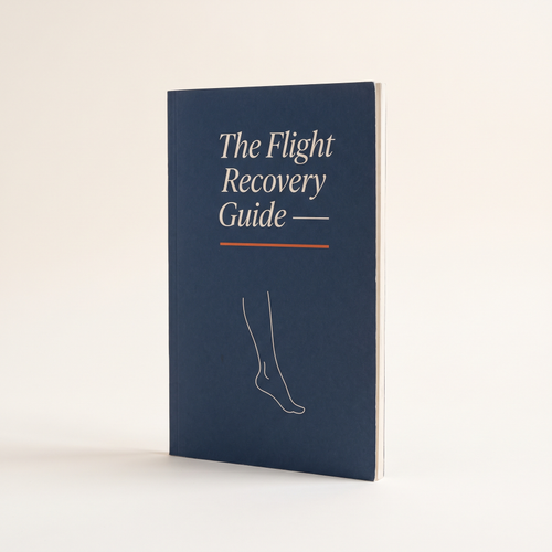 The Flight Recovery Guide